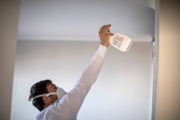 Best Best Mold Removal Companies  in Church Point, LA