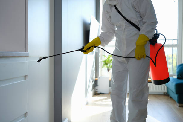 Attic Mold Removal in Church Point, LA