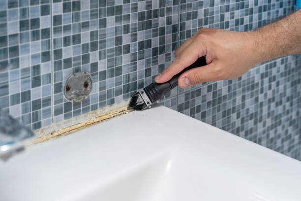 Best Residential Mold Removal  in Church Point, LA