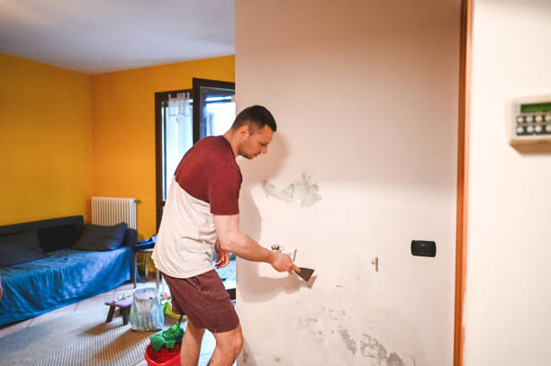 Best Attic Mold Removal  in Church Point, LA